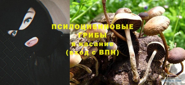 наркотики Алексеевка
